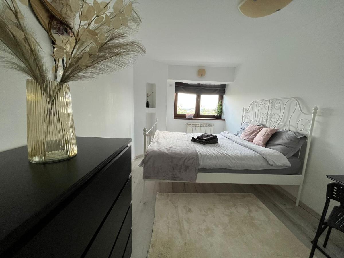 City Center Privat-Sauna Familyconcept Iasi Exterior photo